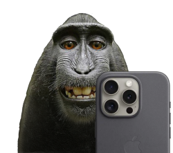 $NARUTO the selfie monkey Meme Template