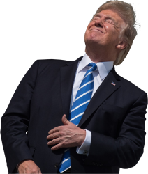 Trump windy Meme Template