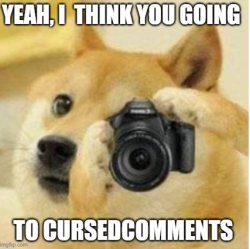 Doge with a camera Meme Template