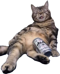 Drunk Cat Meme Template