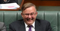 Albo gas Meme Template