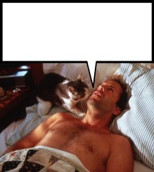 ANNOYING CAT VS. BRUCE WILLIS Meme Template