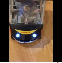 Rat taxi Meme Template