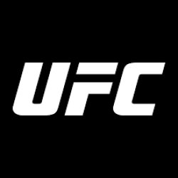 UFC logo Meme Template