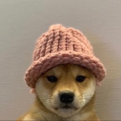 hat Meme Template