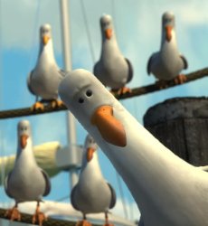 finding nemo seagulls cropped Meme Template