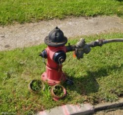 Red black fire hydrant Meme Template