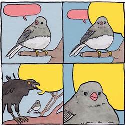 Yelling crow Meme Template