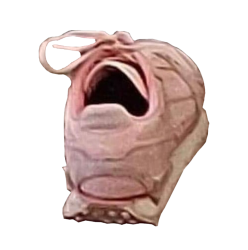 @ShoeLaughing Meme Template