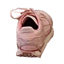 ShoeLaughing Meme Template