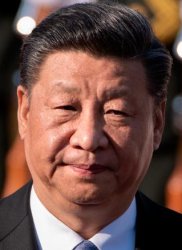 Xi Jinping Meme Template