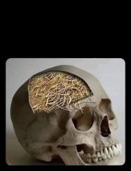 SKULL WITH STRAW Meme Template
