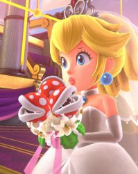 peach wedding Meme Template