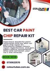 Best Car Paint Chip Repair Kit Meme Template