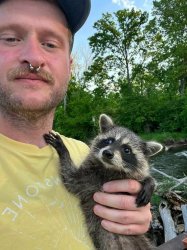 Man holding raccoon Meme Template