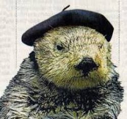 Otter beret Meme Template