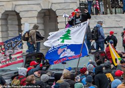 capitol riot pine tree appeal to heaven flag Meme Template