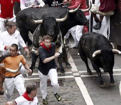 Running with the Bulls Meme Template