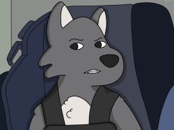 Wolfie Confused Face Meme Meme Template