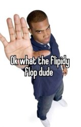 Ok what the flipity flop dude Meme Template