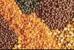 Durex Lentils Meme Template