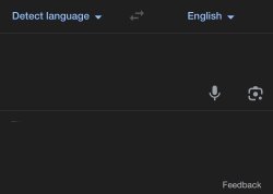 Blank Google Translate Meme Template