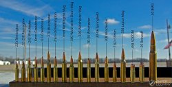 Bullet ammunition ammo sizes comparison JPP PH Meme Template