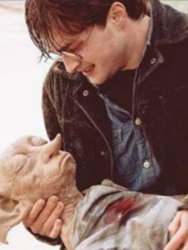 Dead dobby Meme Template