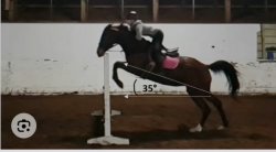 Distance geometry Meme Template