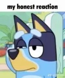 My Honest Reaction Meme Template