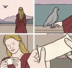 Pigeon Meme Template