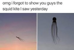 Creepy Squid Kite Meme Template