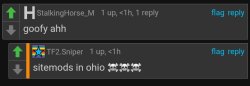 Sitemods in Ohio Meme Template