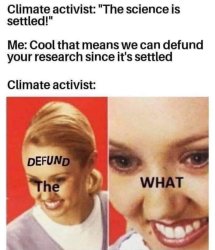 “The What” Meme Template