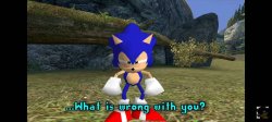 Sonic what’s wrong with you Meme Template