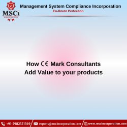 Best CE Mark Consultancy Meme Template