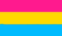 pansexual flag Meme Template