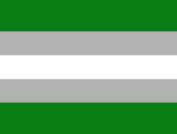 Greyromantic flag Meme Template