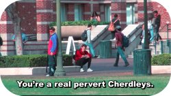 You're a real pervert Cherdleys Meme Template