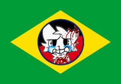 Brazilian anti boykisser flag Meme Template