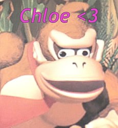 Chloe announcement temp Meme Template