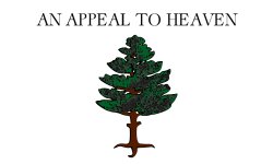 Pine tree flag Meme Template