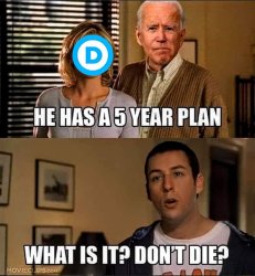 Biden 5 Year Plan Meme Template