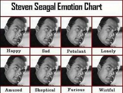 Steven Seagal Emotion Chart Meme Template