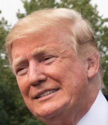 Smiletrump Meme Template