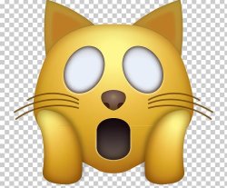 funny cat Meme Template