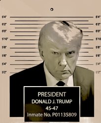 Wanted by America Meme Template