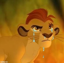 Kion crybaby but better Meme Template