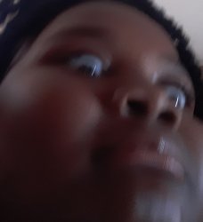 Hippo Meme Template