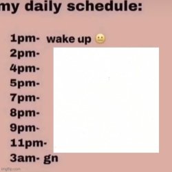 Me Daily Schedule: Meme Template